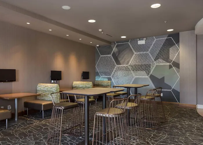 Springhill Suites By Marriott Charlotte Ballantyne